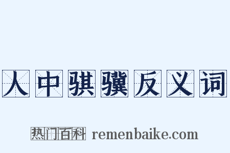 人中骐骥反义词是什么意思的图片